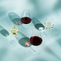 Syra / Cabernet / Merlot Glas Set 2-tlg. - Green Wave Platinum Line Lunasol II