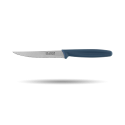 Steakmesser mit Wellenschliff - Master Petrol