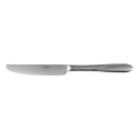 Table Knife - Salzburg Elite – partially satin finished