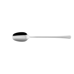 Dessert Spoon - Tulissa all mirror