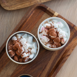 Lungo cup - Gaya Elements Quest North