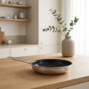 Frypan Ø 26 cm, H: 6 cm without lid - Orion Expert Neo Multi-Layer Lunasol