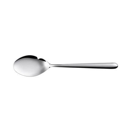 Gourmet / Fish Spoon — Faro all mirror