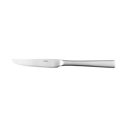 Steakový nôž 22,2 cm - Atlantic 2000