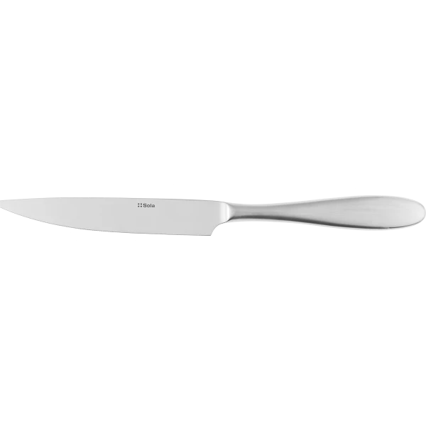 Steak Knife univers — Turin handle satin