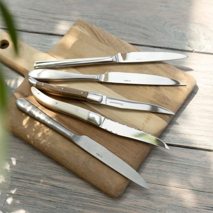Steak Knife univers — Turin handle satin