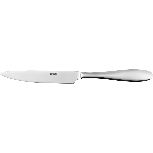 Steakmesser Hohlheft 24 cm - Turin