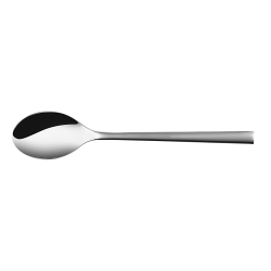 Dessert Spoon - Living Elite all mirror