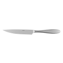 Steakový nôž univerzálny - Turin matná rúčka