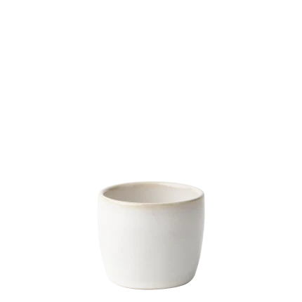 Espresso cup — Gaya Elements Quest North