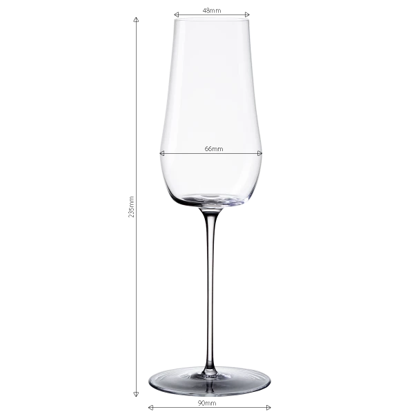 Champagne glass Set 2 pcs. — Green Wave Platinum Line Lunasol II