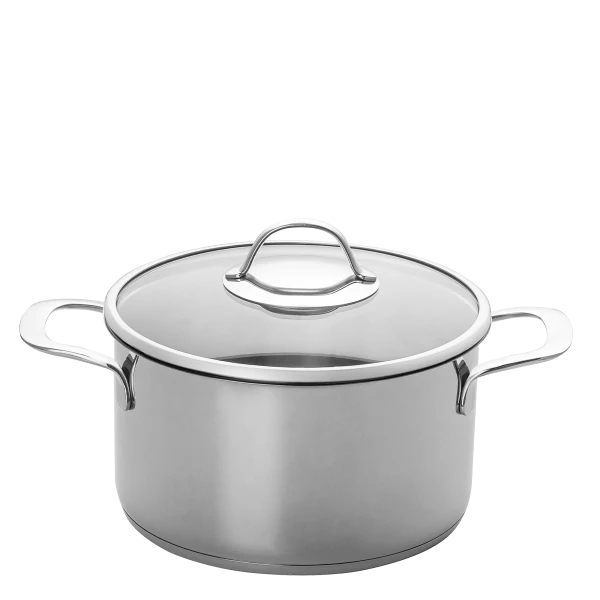 Cooking pot with handles Ø 24 cm with glass lid — Orion Inox with CNS-Profi handles