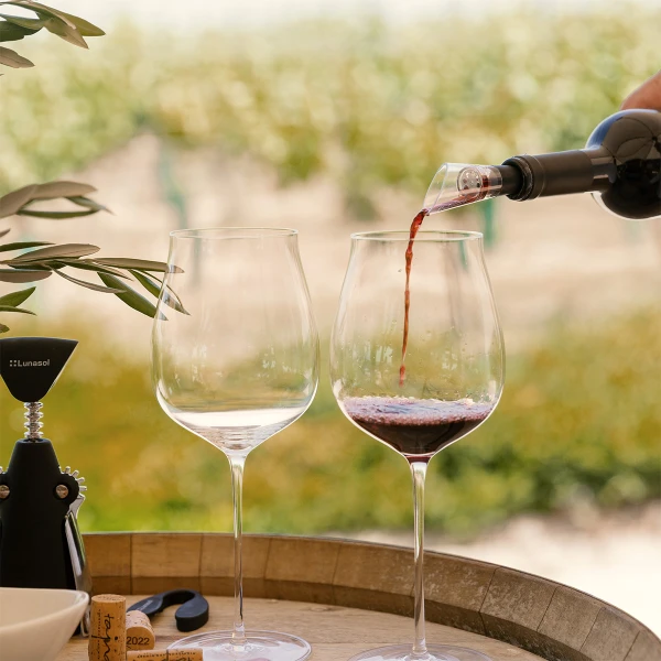 Wine glass Set 2 pcs. — FLOW Platinum Line Lunasol II