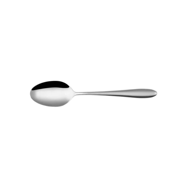 Dessert Spoon — Turin Plaza all mirror