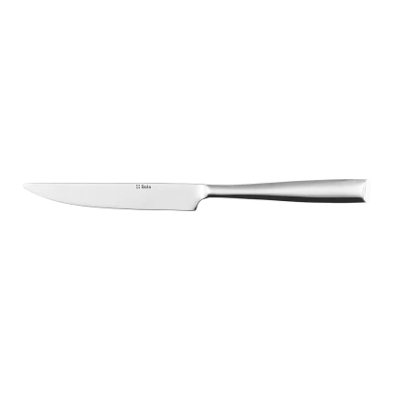 Steak knife — Vail all mirror