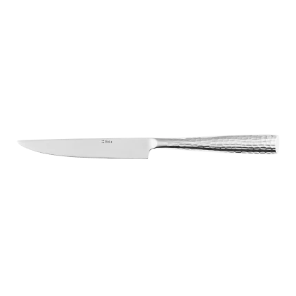 Steak knife — Miracle all mirror