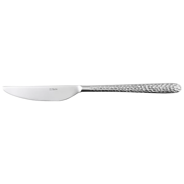 Tafelmesser — Callisto Ice CNS poliert