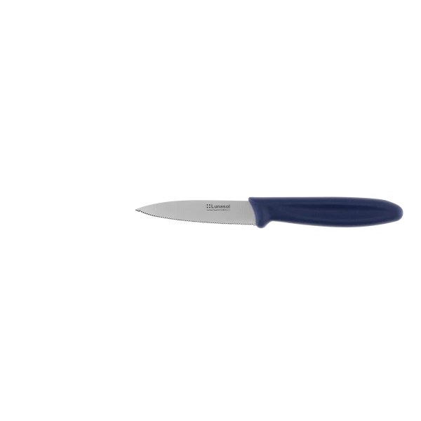 Knife with finely serrated blade 7.8 cm — Master Blue