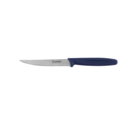Steak knife with serrated blade 11.2 cm — Master Blue