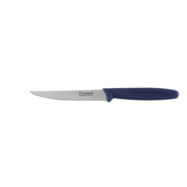 Steakový nôž so zúbkovanou čepeľou 11,2 cm — Master Blue
