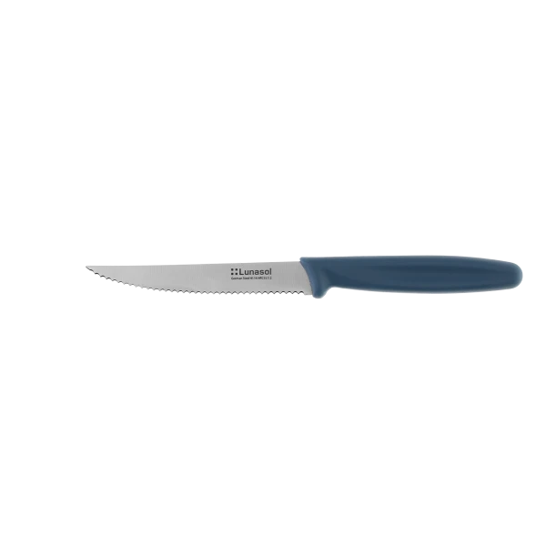 Steakový nôž so zúbkovanou čepeľou 11,2 cm — Master Petrol