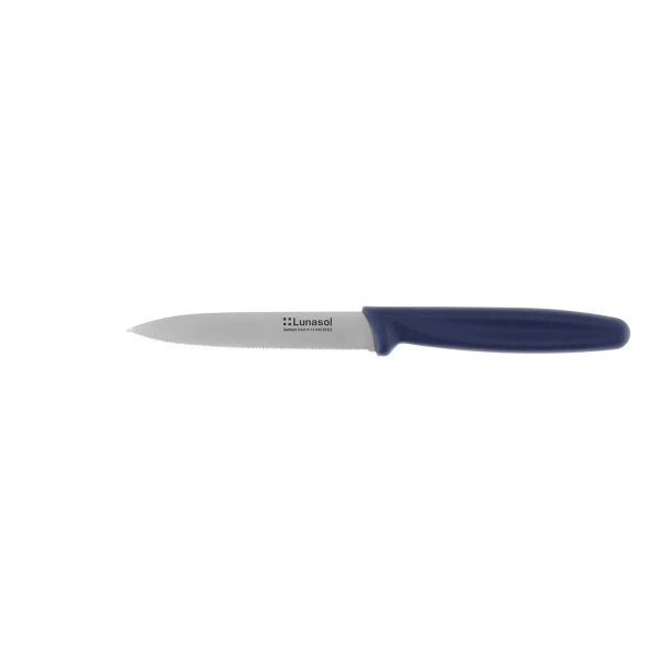 Kitchen knife with finely serrated blade 10.2 cm — Master Blue