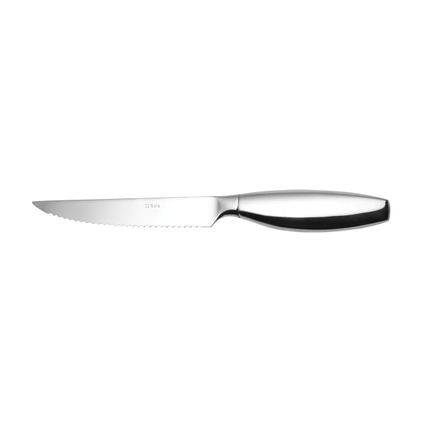 Stake knife Hollow handle — Touch me all mirror