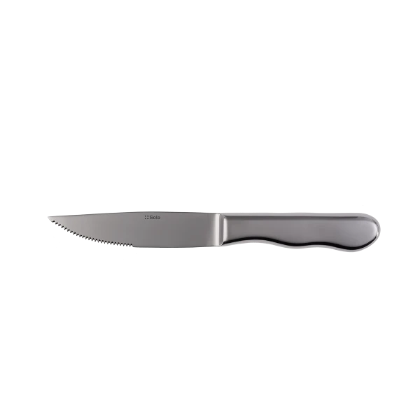 Steak knife — BIG all mirror