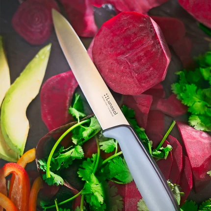 Utility Knife 12.7 cm with Blister-Packing — Basic Kitchen