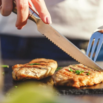 Steakový Nůž s dutou rukojetí — Touch Me matný