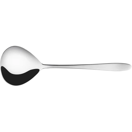 Soup Ladle — Turin all mirror