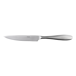 Steakový nôž univerzálny - Turin lesklý