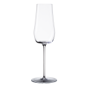 Champagne glass 220 ml Set 2pcs. - Green Wave Glas Lunasol