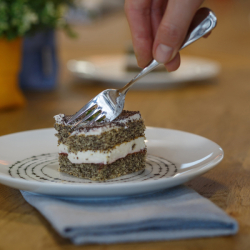 4ks set ch talířov-Dots Coupe - BASIC Lunasol